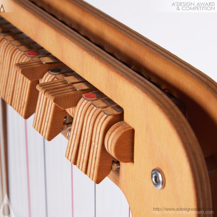 Electro Acoustic Harp by Joris Beets