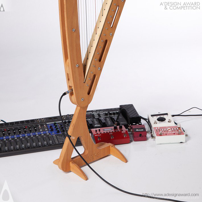 Joris Beets Electro Acoustic Harp