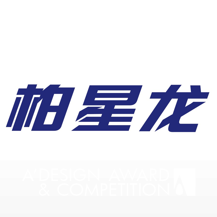 Shenzhen baixinglong creative packaging co   ltd Brand Logo