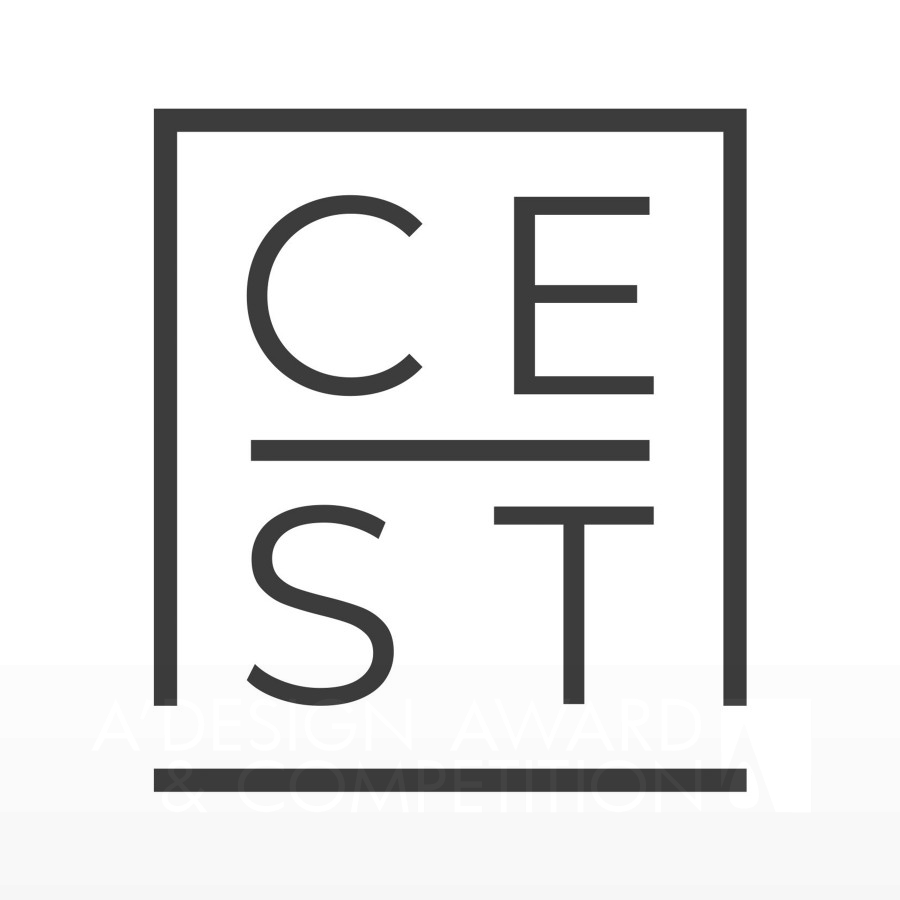 CE ST Design StudioBrand Logo