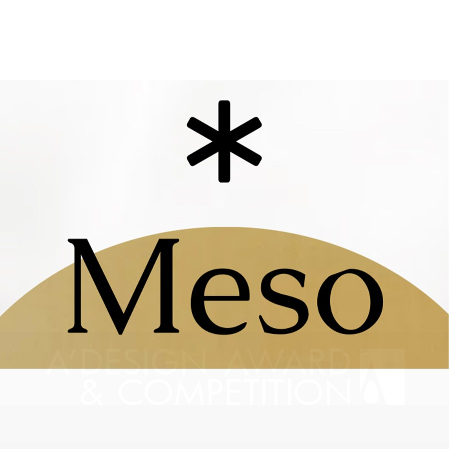 Meso DesignBrand Logo