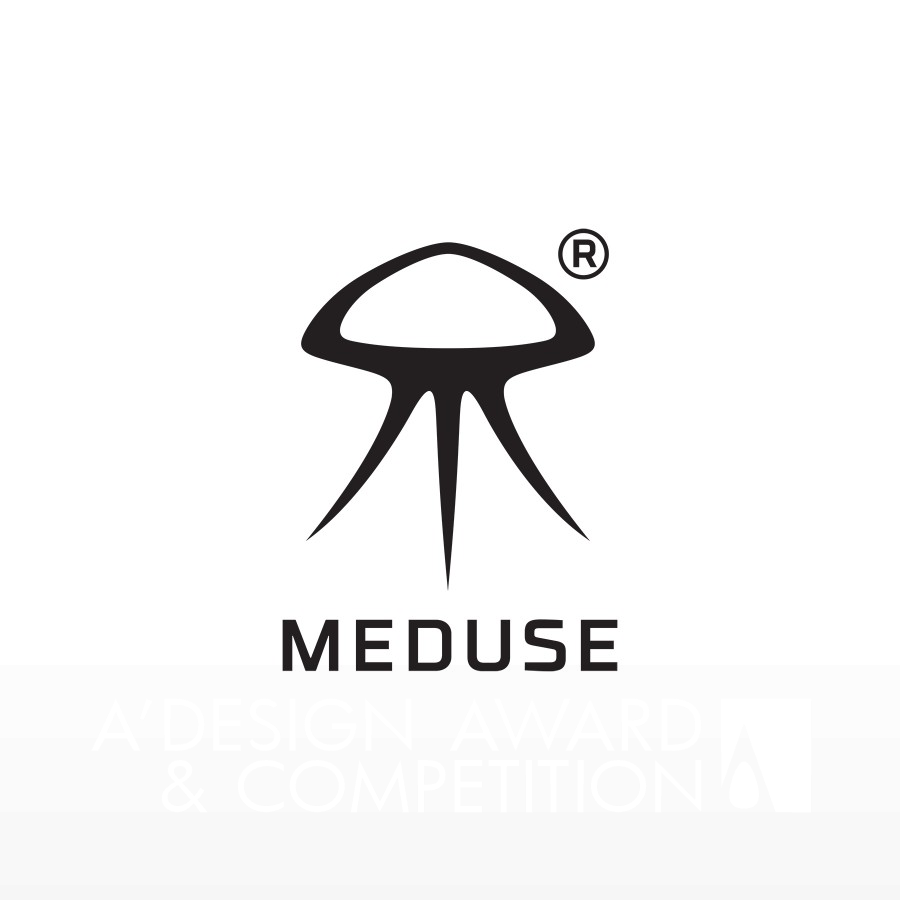 MEDUSE DESIGN Ltd