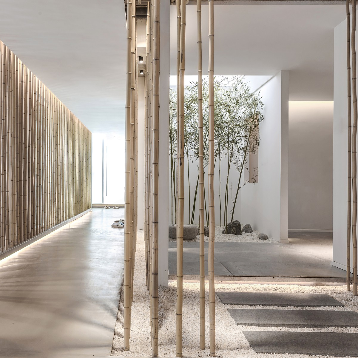 Silver Winner. Bamboo by Wang Jun