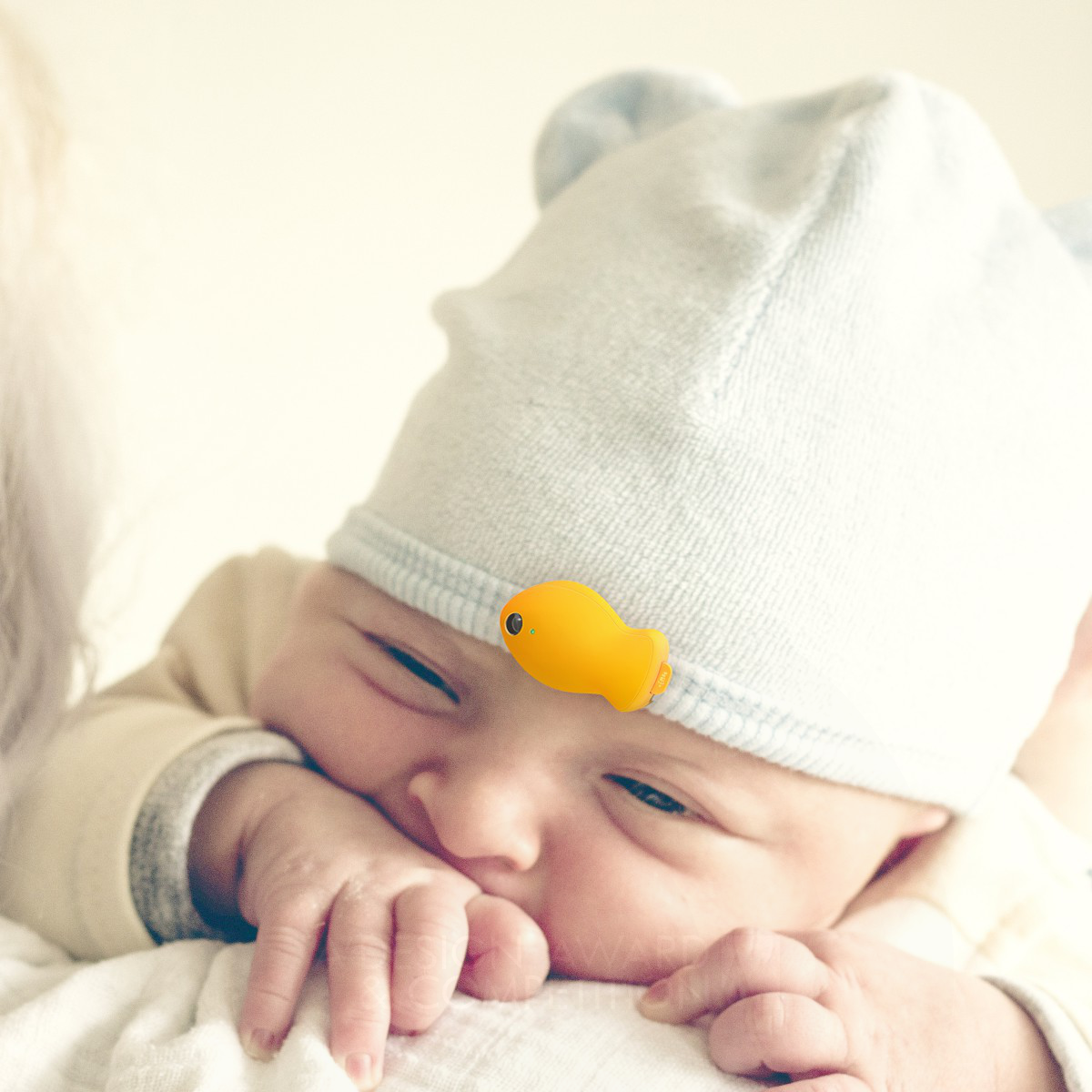 Nemoo: Fysiek Geheugencapturesysteem voor Baby's