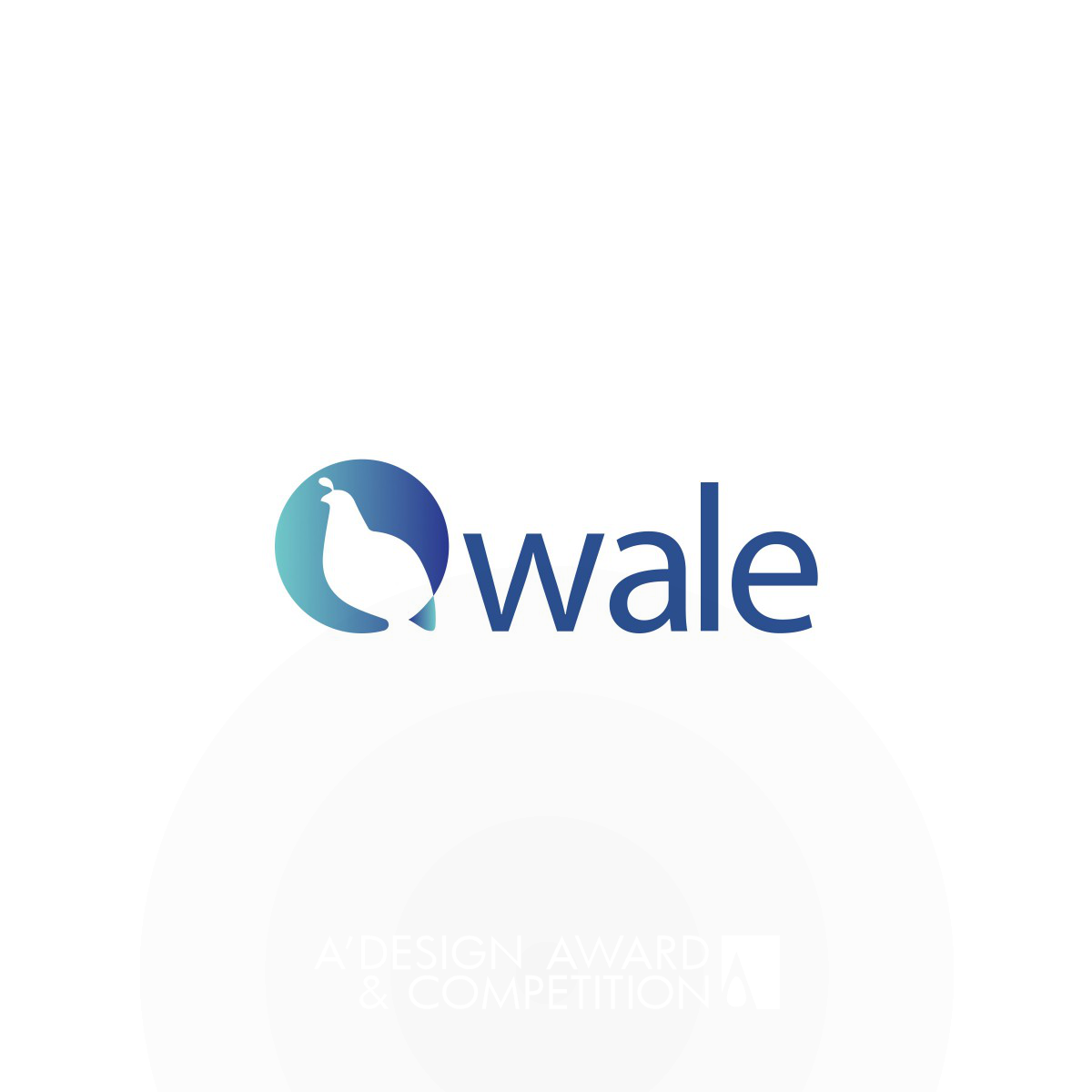 New Visual Direction of Qwale Brand Identity by Ruiqi Sun