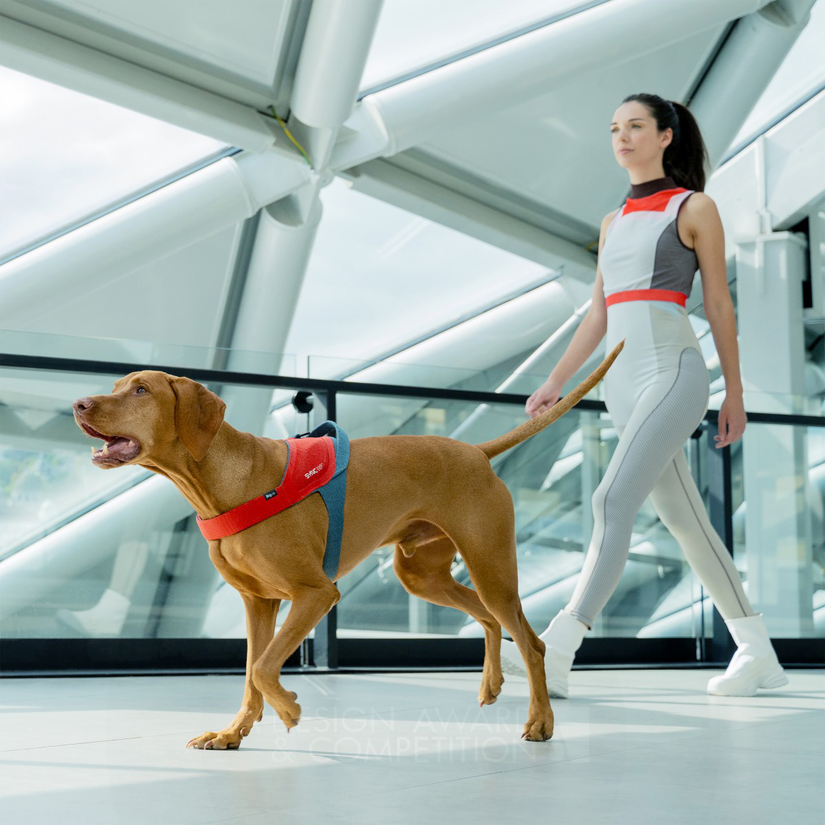 Alberto Vasquez wins Golden at the prestigious A' Pet Care, Toys, Supplies and Products for Animals Design Award with JK9 Sync Smart Dog Harness.
