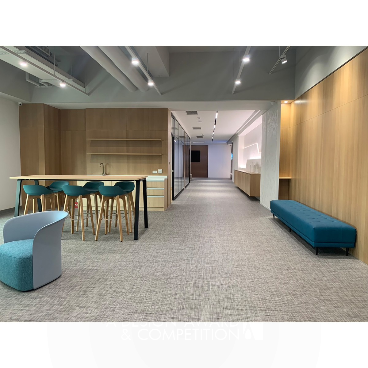 Iron Winner. Shine Biomedical by Kun-Sen Chang