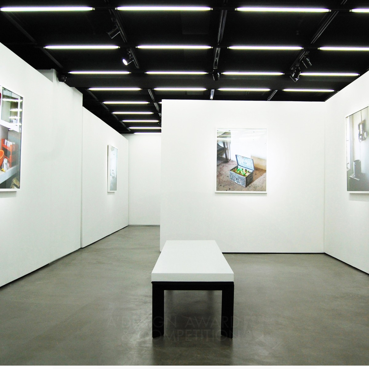 Silver Winner. Unparalleled Flexibility: Gallery Design Museum-quality gallery space by Nicholas Ho