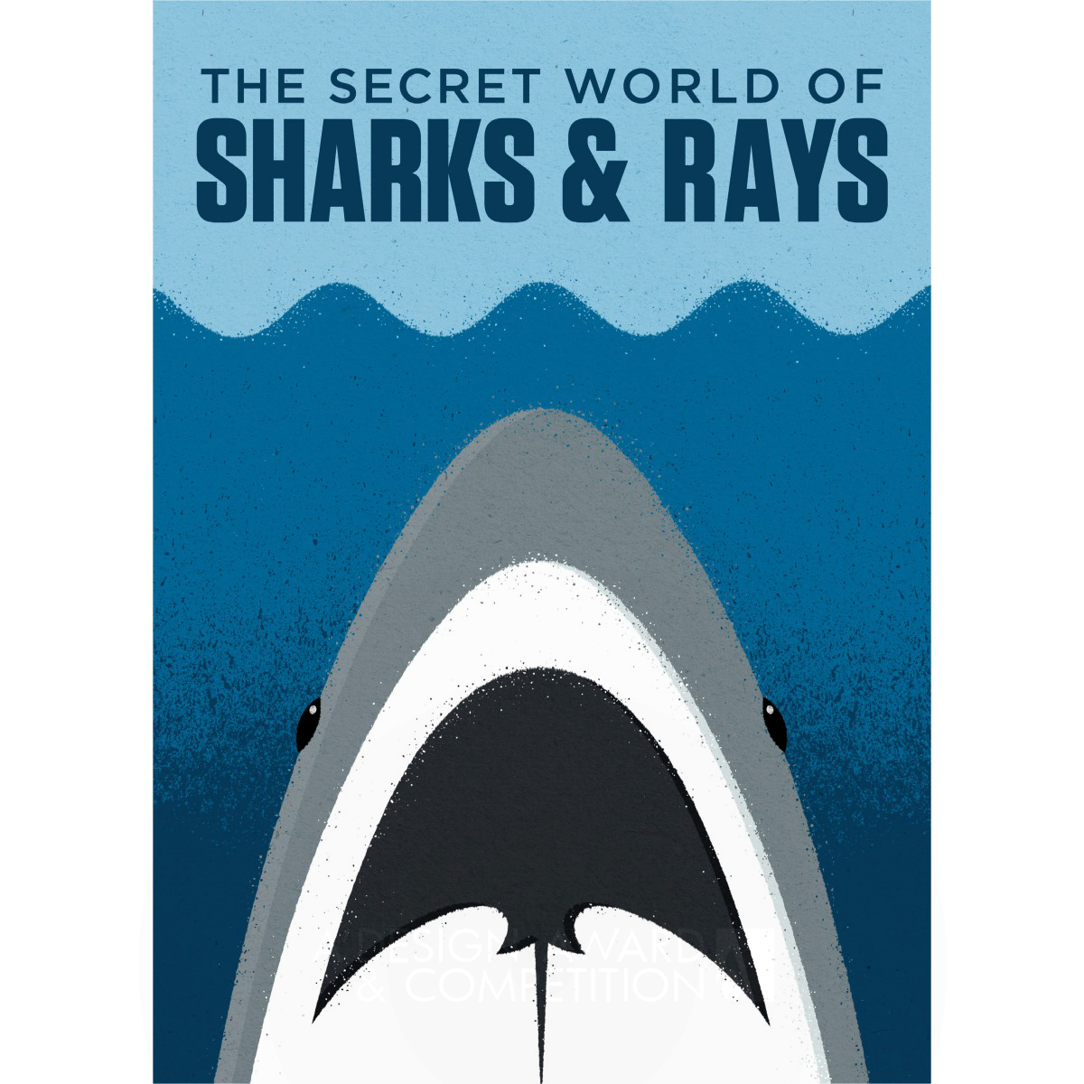 Sharks & Rays  Exhibit Identity  by Taxi West