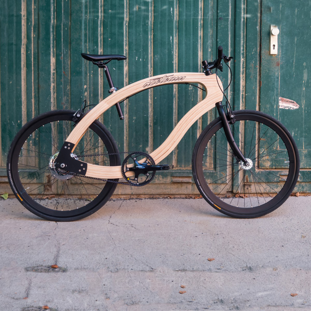 wooden ebike <b>Science meets Sustainability