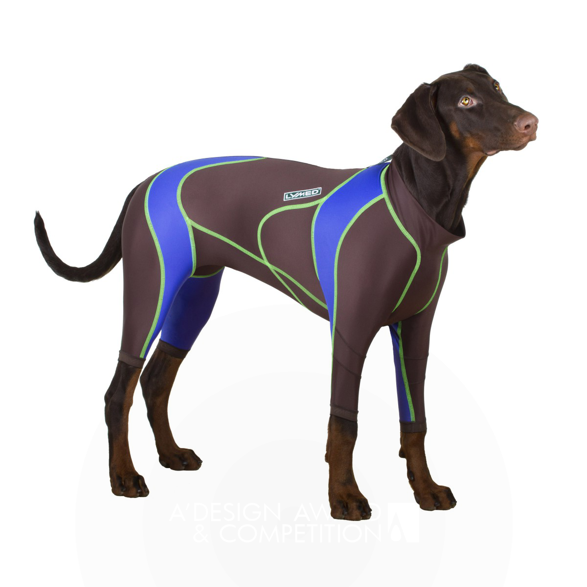 Lymed Dog: Innovative Canine Pressure Garments