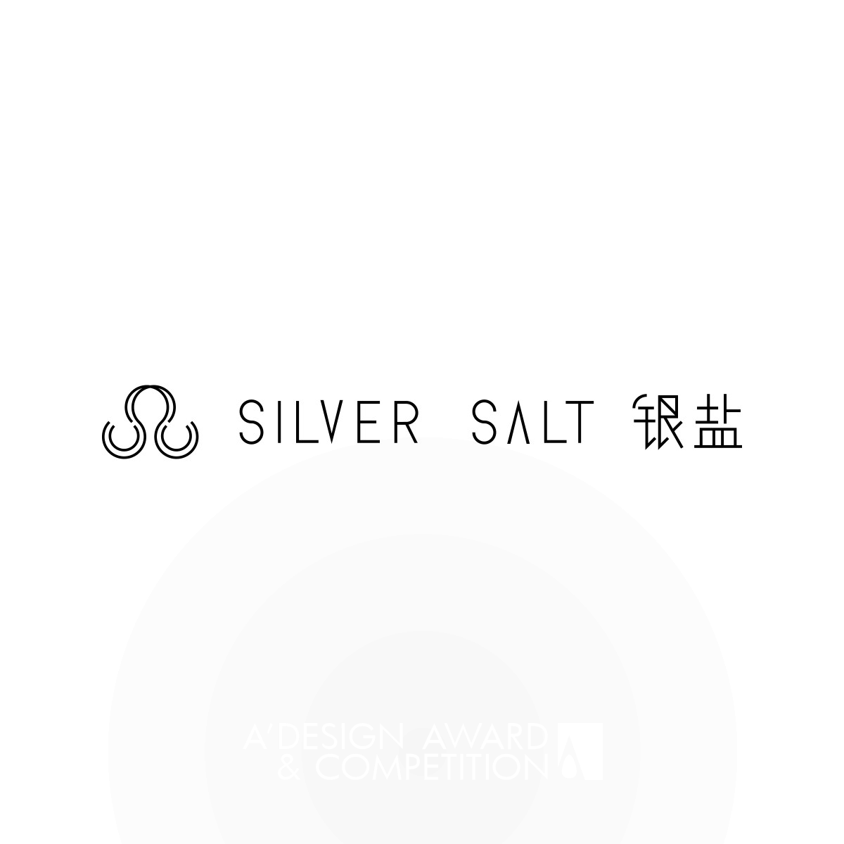 Silver Salt Corporate Identity by Lesser Fullness Design