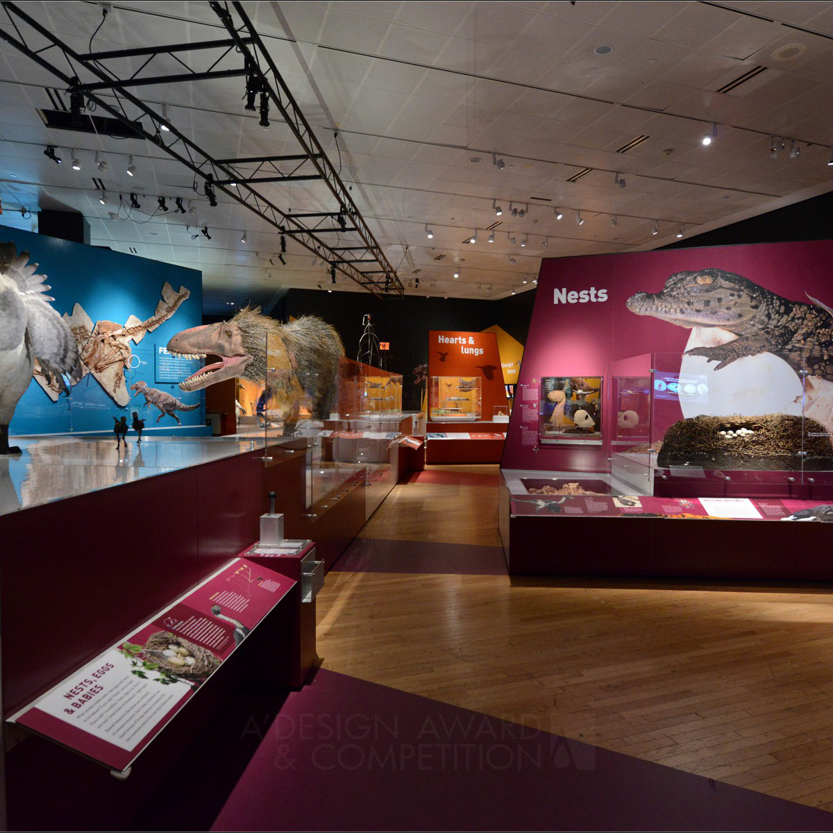 The AMNH 3D Design Team Temporary/Touring Exhibition