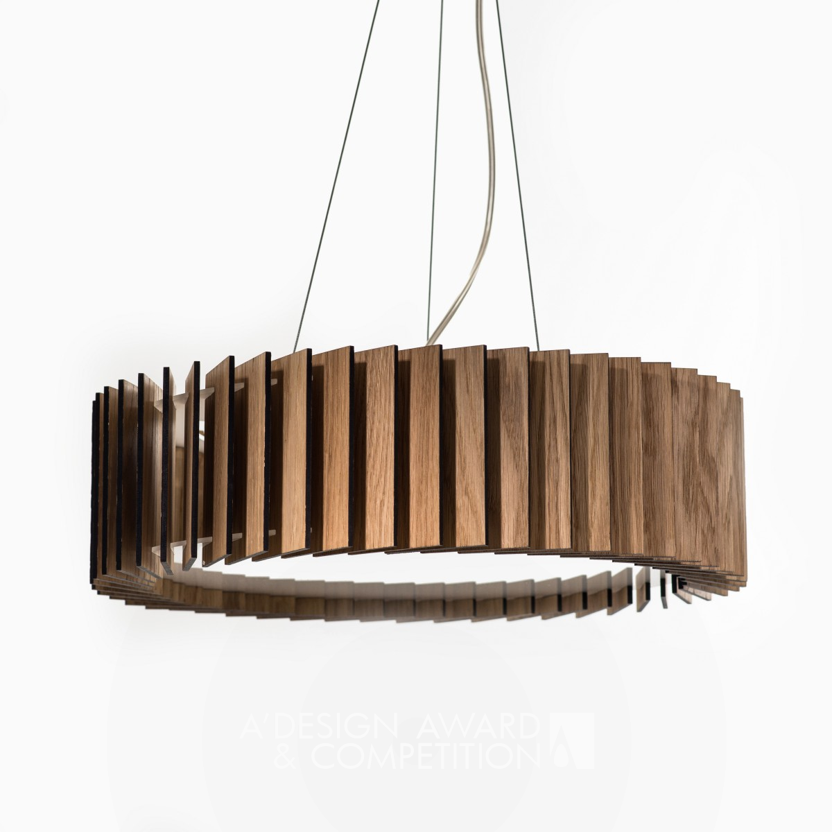 Bronze Winner. Rotor by Evgeniya Dianova