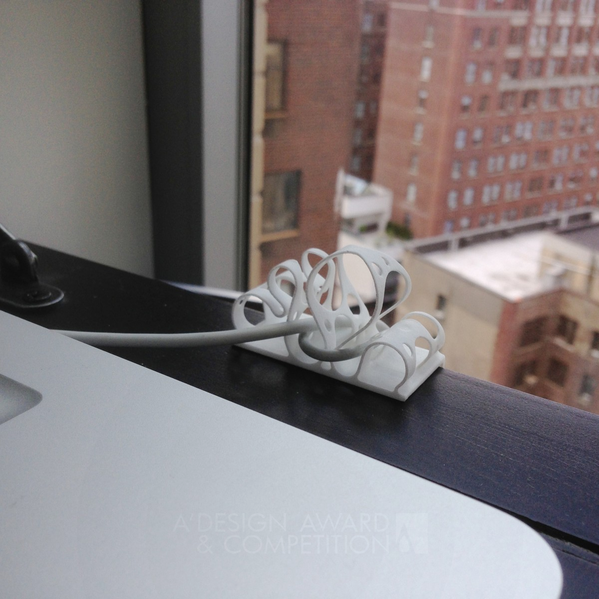 Bronze Winner. Loops & Cheese by David Hsu