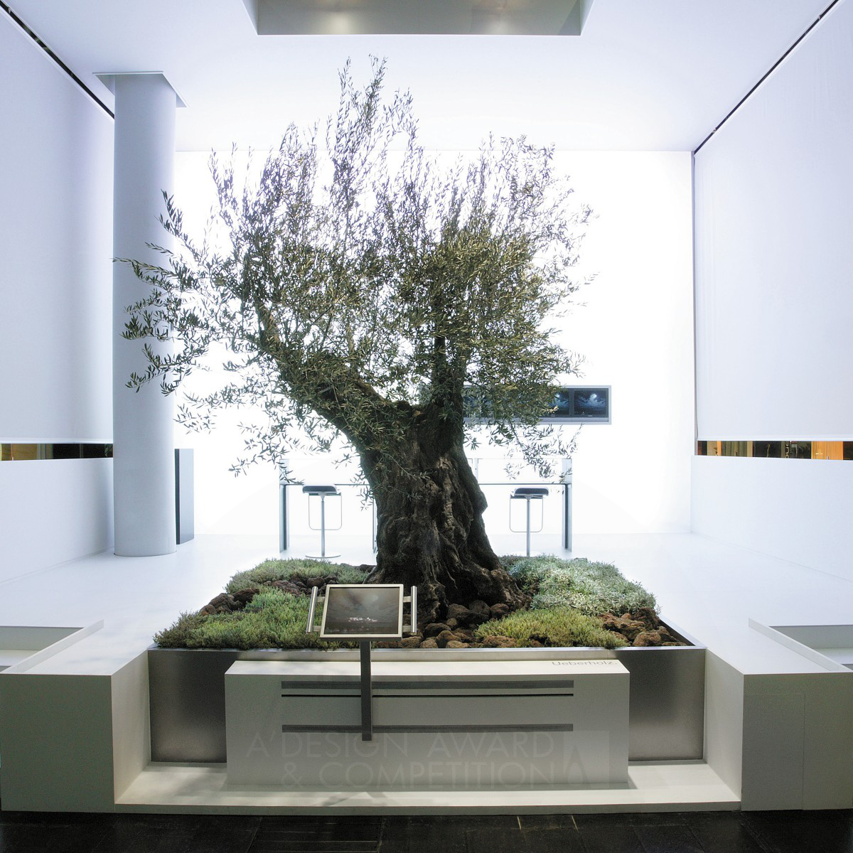 Olive tree Booth by NICO UEBERHOLZ