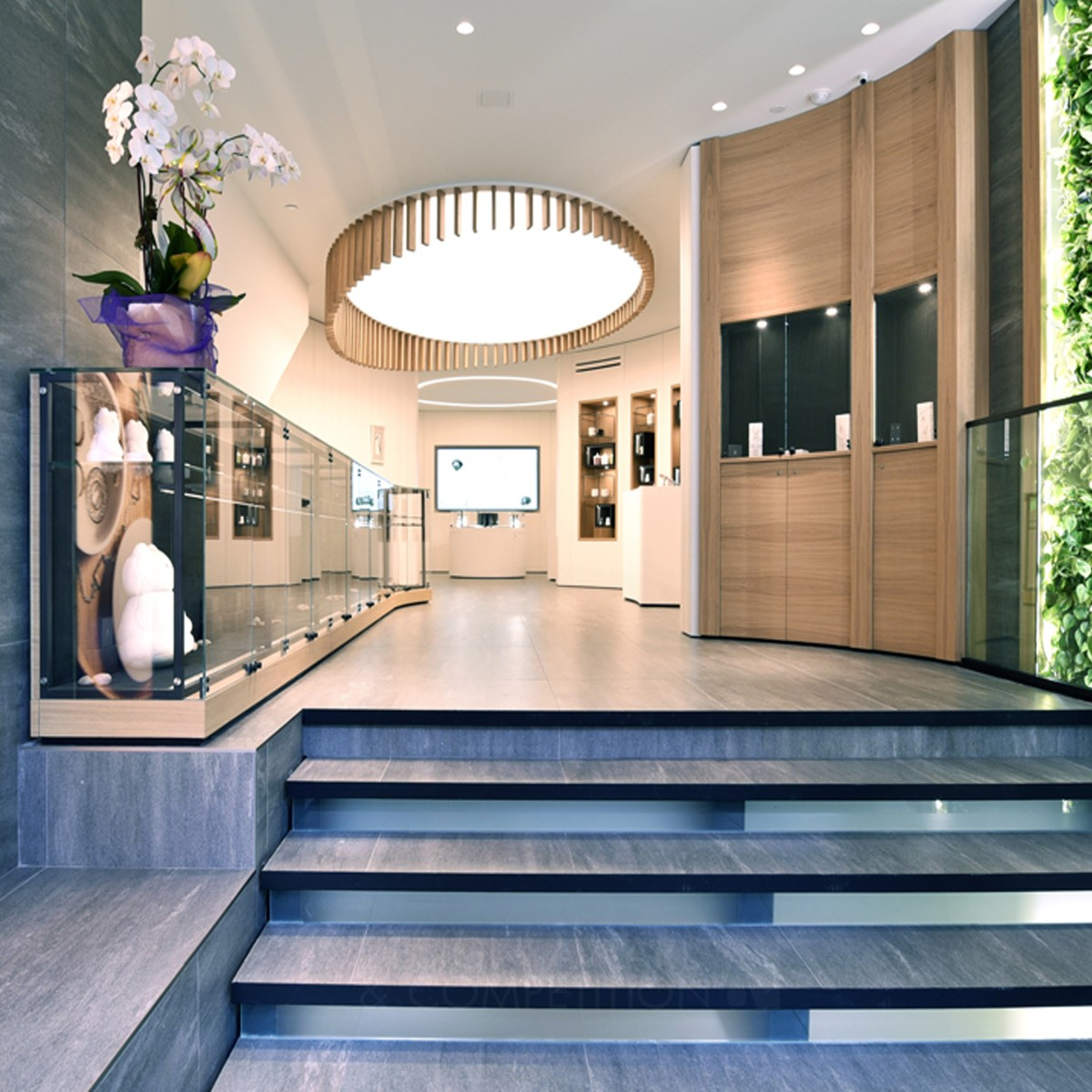 Iron Winner. Zazen Bear by Pierpaolo Martiradonna,Matteo Falcone and Francesco Ma