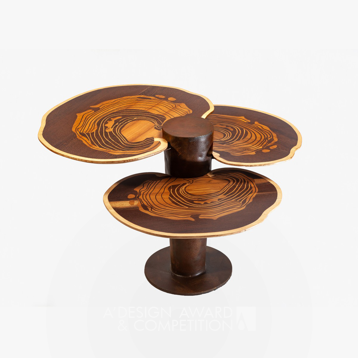 Turkey Tail Center Table by ariane thakore ginwala