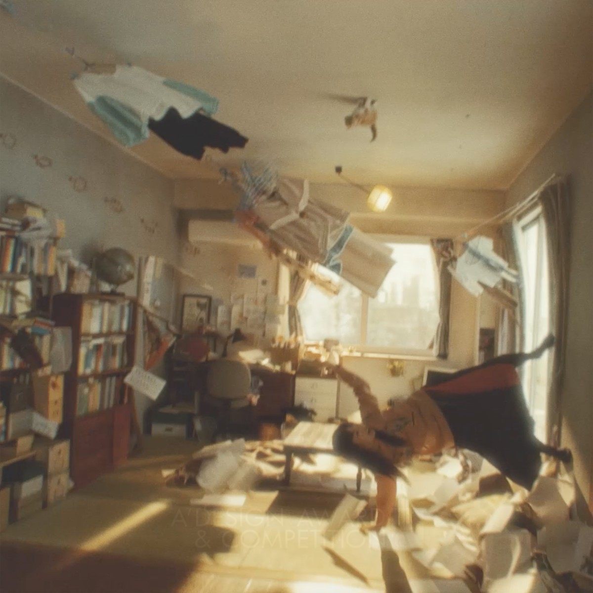 Gold Winner. Gravity Cat by Yukiko Kuribayashi