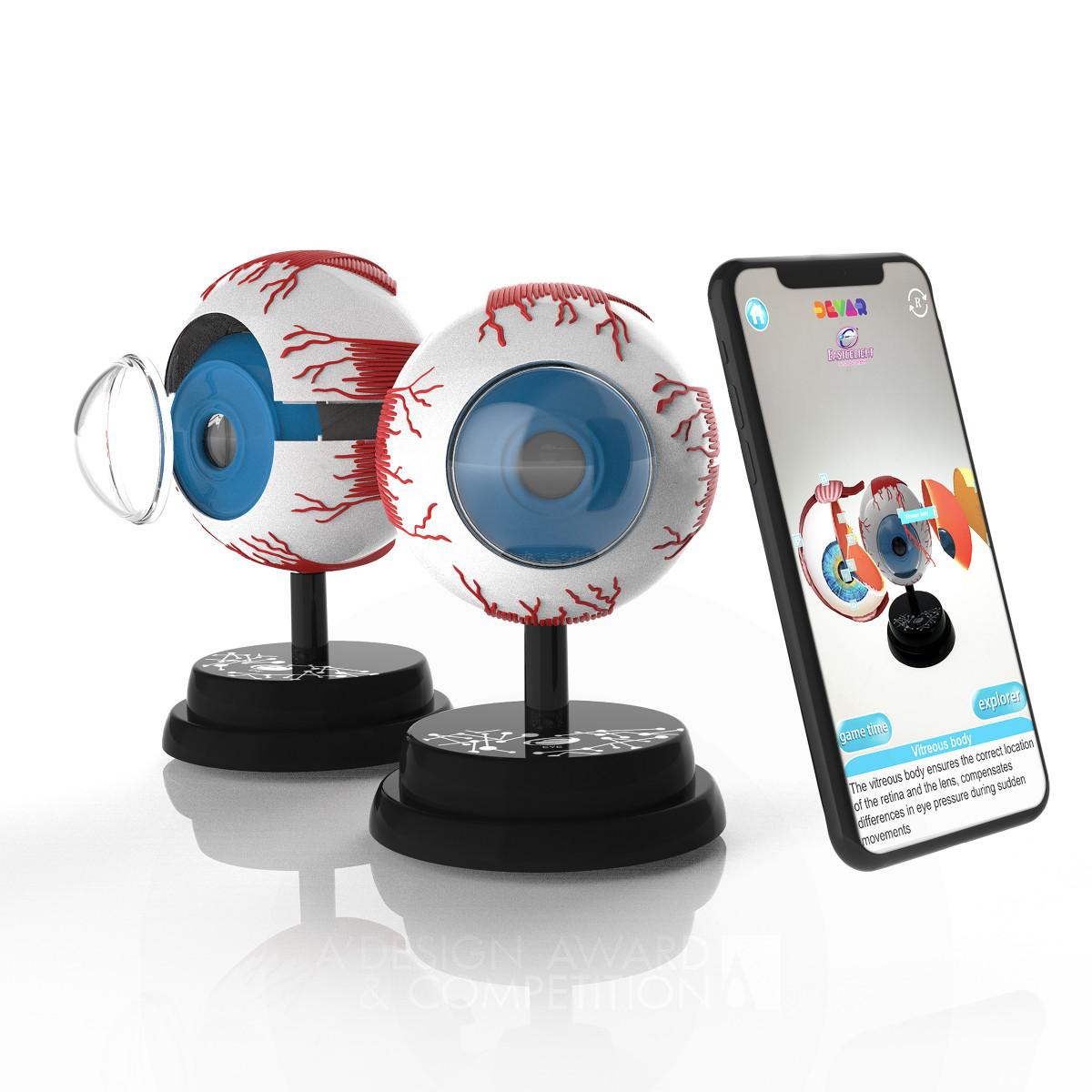 AR Human Science series Educational Toy