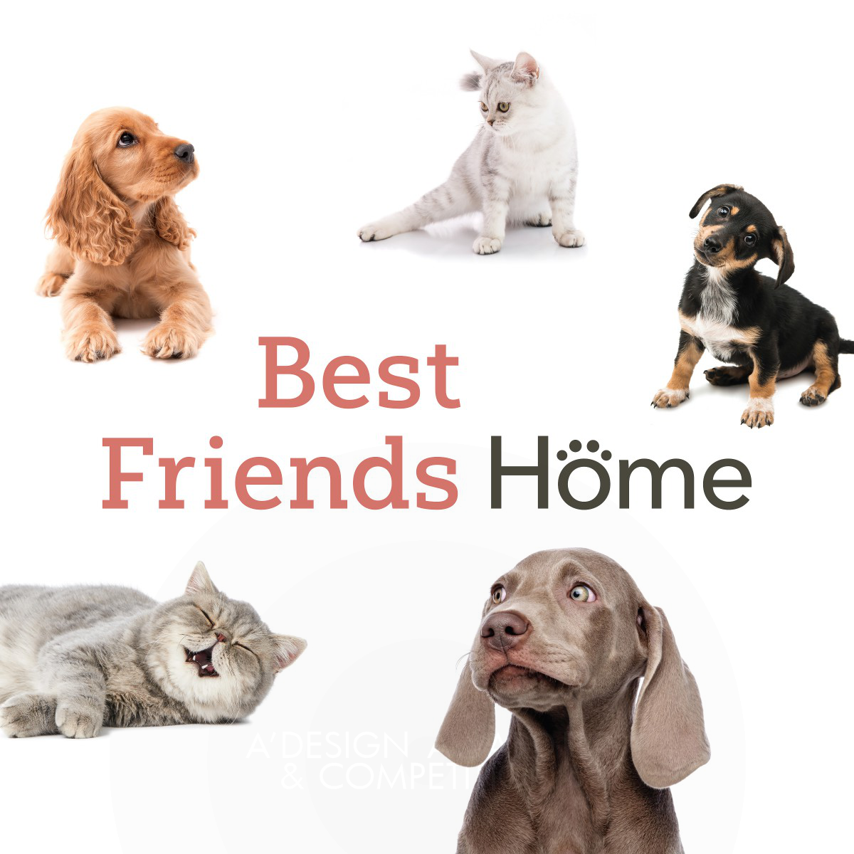Best Friends Home <b>Brand Identity