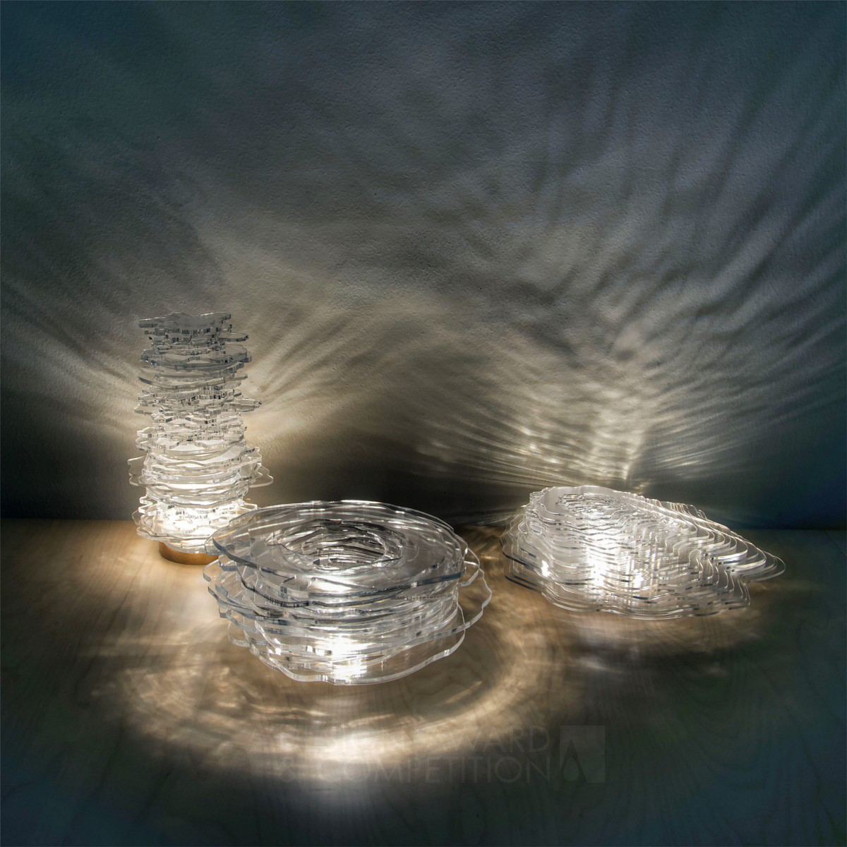 Diatom Lights Illumination by YINGRI GUAN