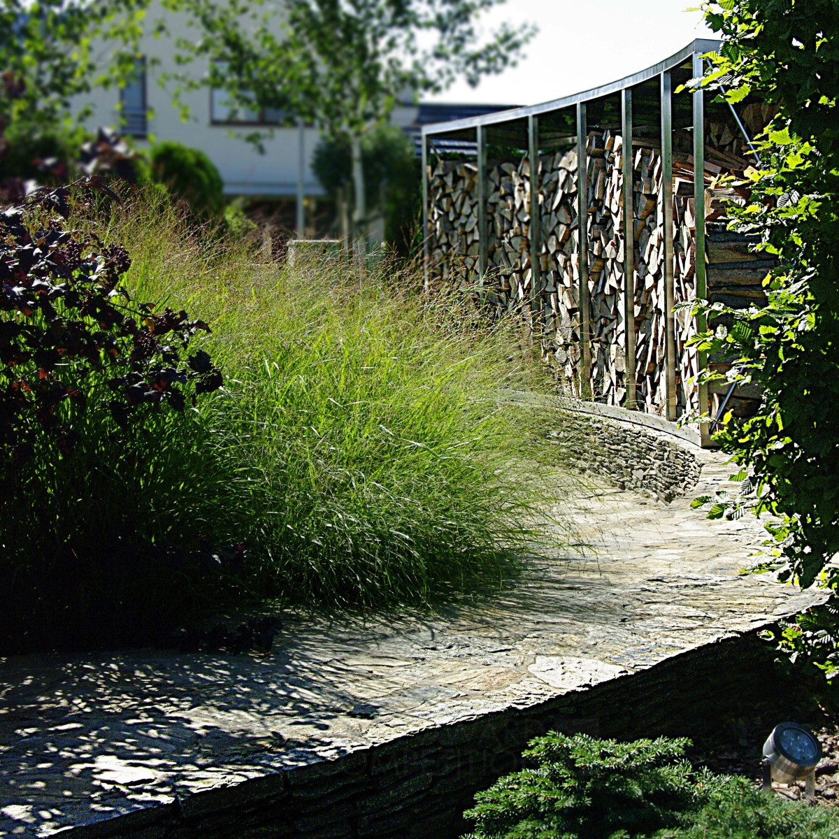 Iron Winner. Shell by Agnieszka Hubeny-Zukowska