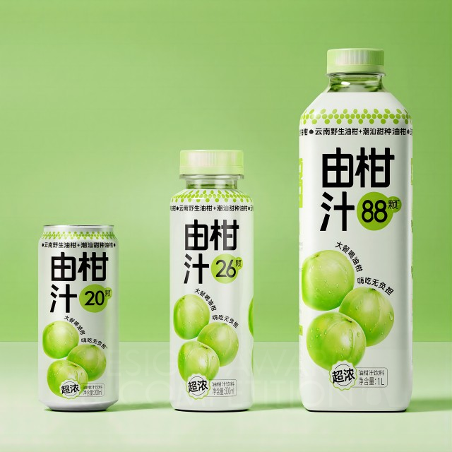 Eastroc Amla Juice