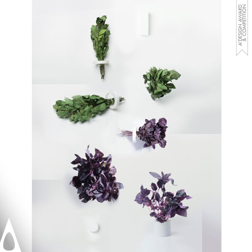 Asya Demidova Same But Different