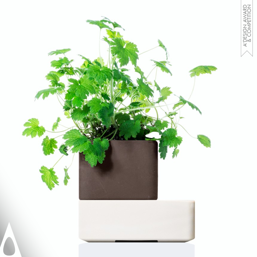 Iron Winner. Uno by Marco Coletti