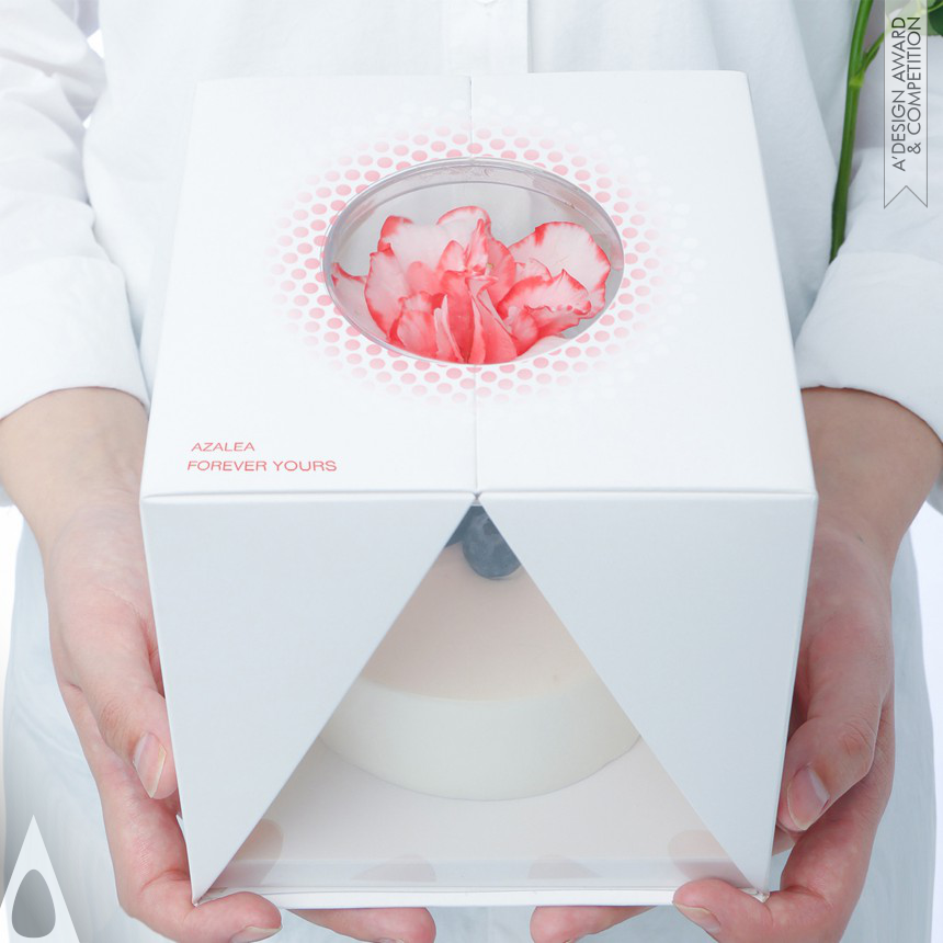 Jiaxin Lv Ying Zhang Yufei Gao Cake Packaging