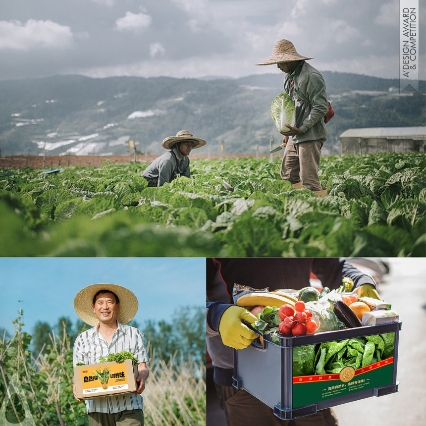 Tian Rui Ling Dong's Luliang Highland Vegetables Brand Identity