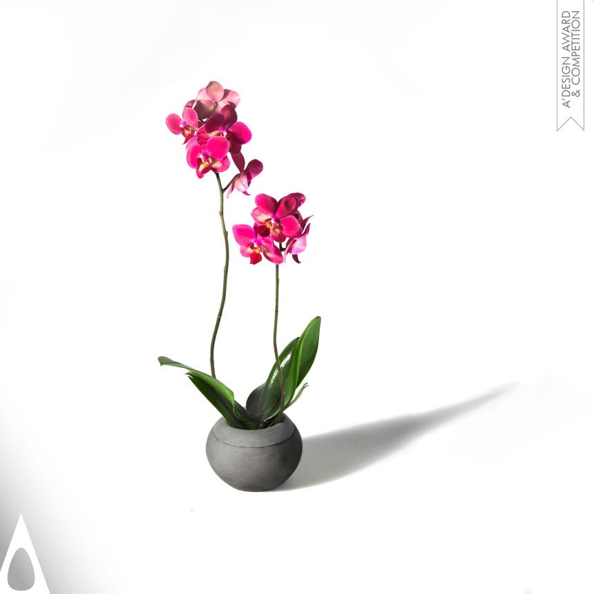 Aristotelis Barakos design