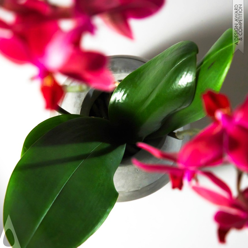 Aristotelis Barakos design