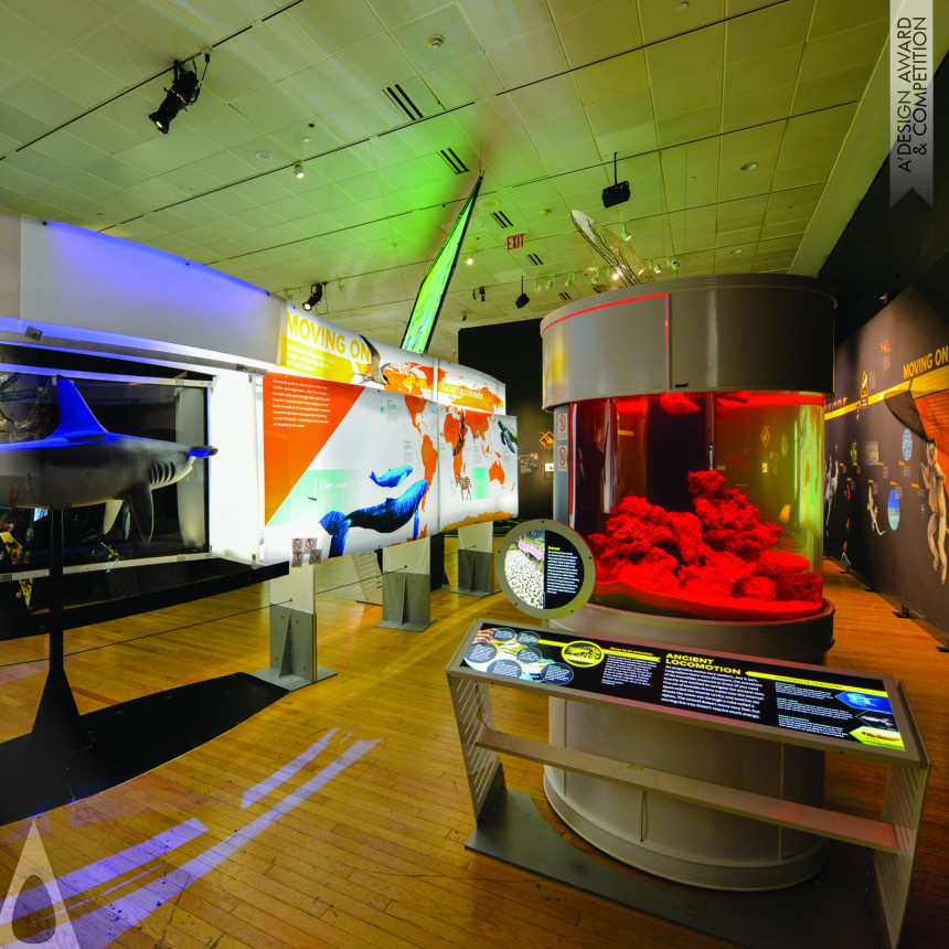 The AMNH 3D Design Team Museum Exhibition