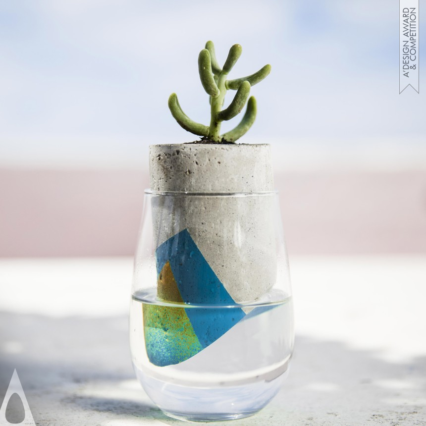 Csar Llanos Plant Container