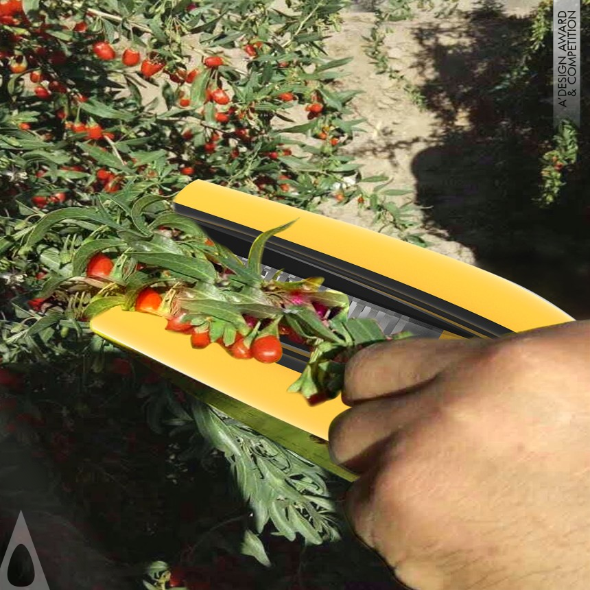 Ma Xingpeng Picking device