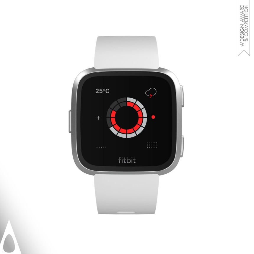 TTMM for Fitbit - Golden Interface, Interaction and User Experience Design Award Winner