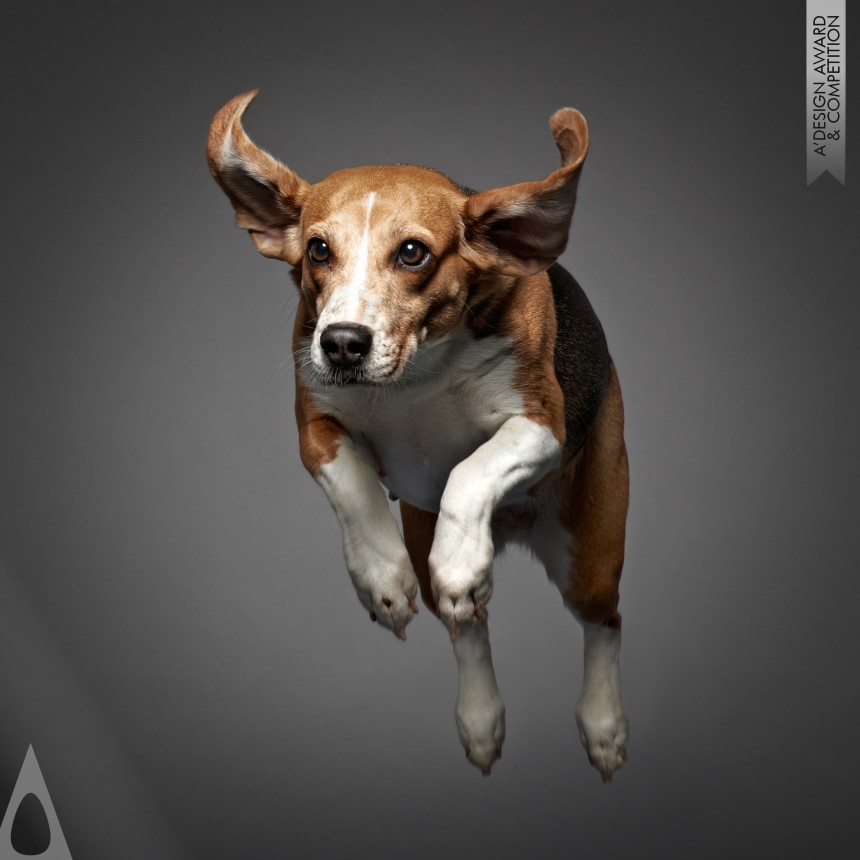 Frank Pham Fine Art Portrait of Dogs