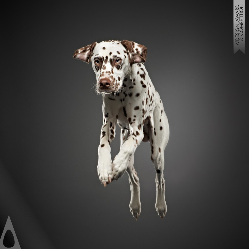 Frank Pham's Jumping Fine Art Portrait of Dogs