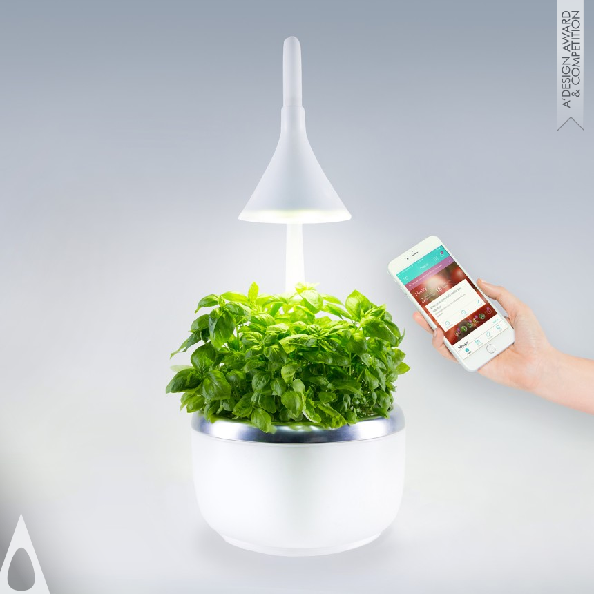 Jennifer Broutin Farah design