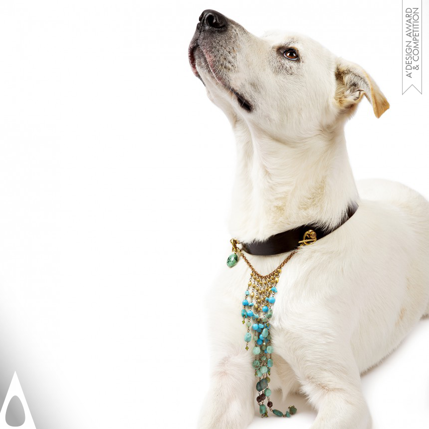 Multifunctional Dog Collar