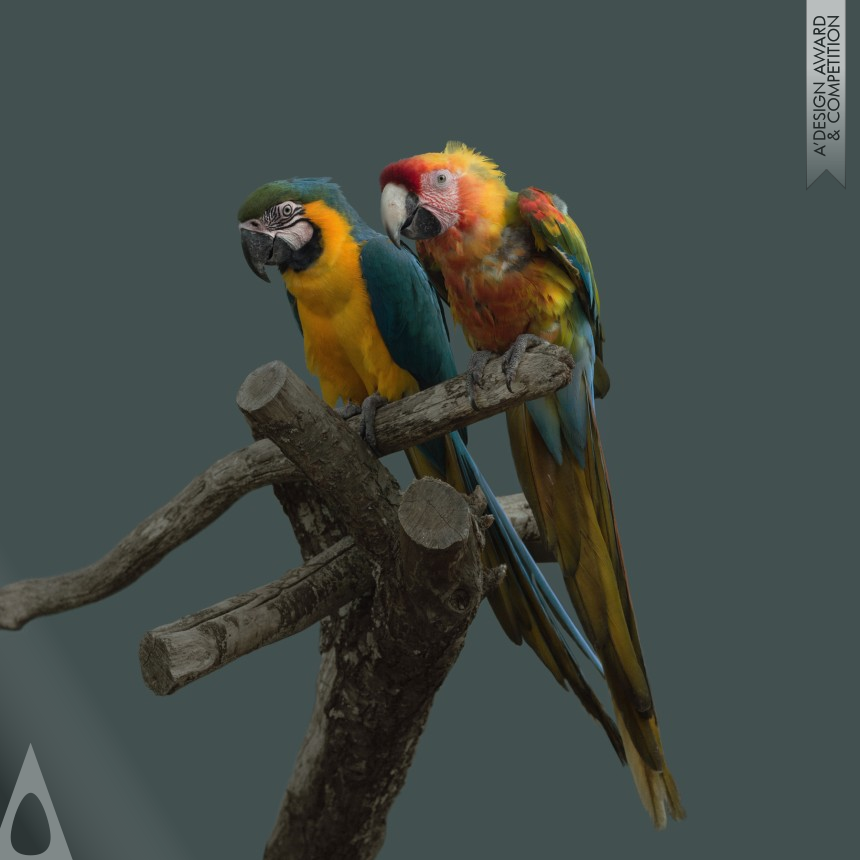 Atsuko Tateno Animal Portrait