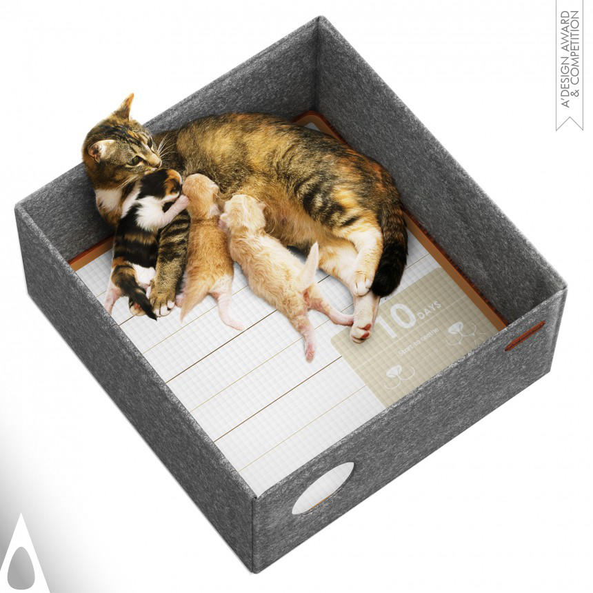 Yunsong Liu Folded Cat Box