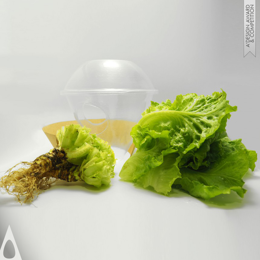Ning Sun Eco Lettuce