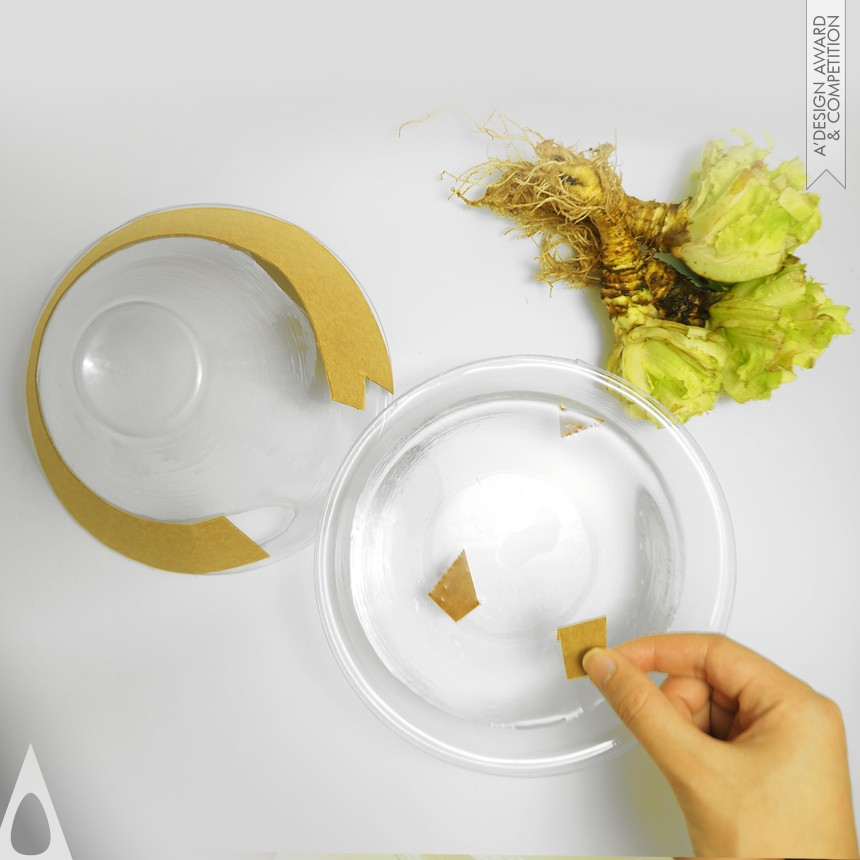 Ning Sun Multifunctional Food Packaging