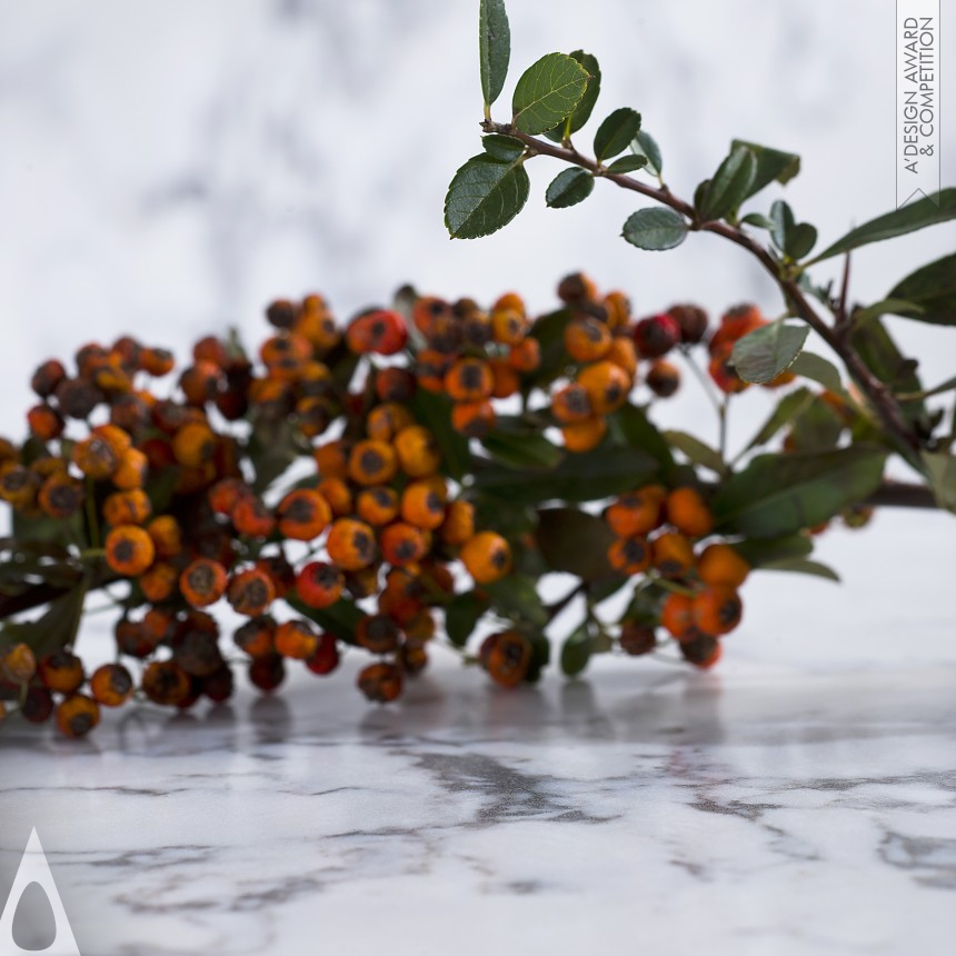 Esra Arıcı Surfacing Solution