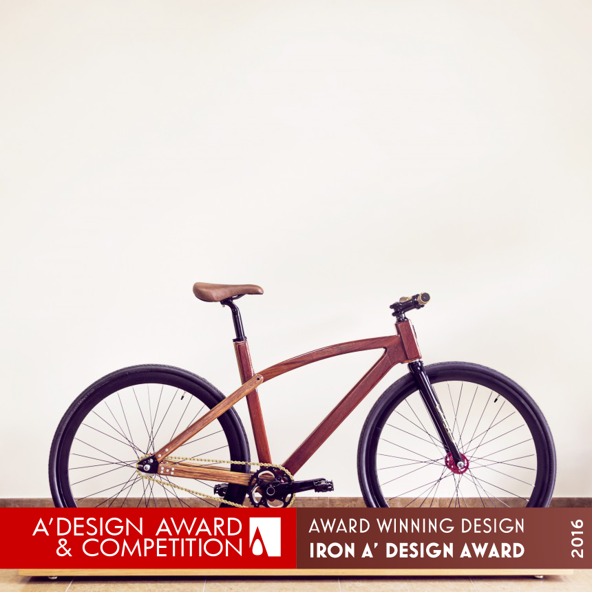 FRB Custom Wooden Bicycle