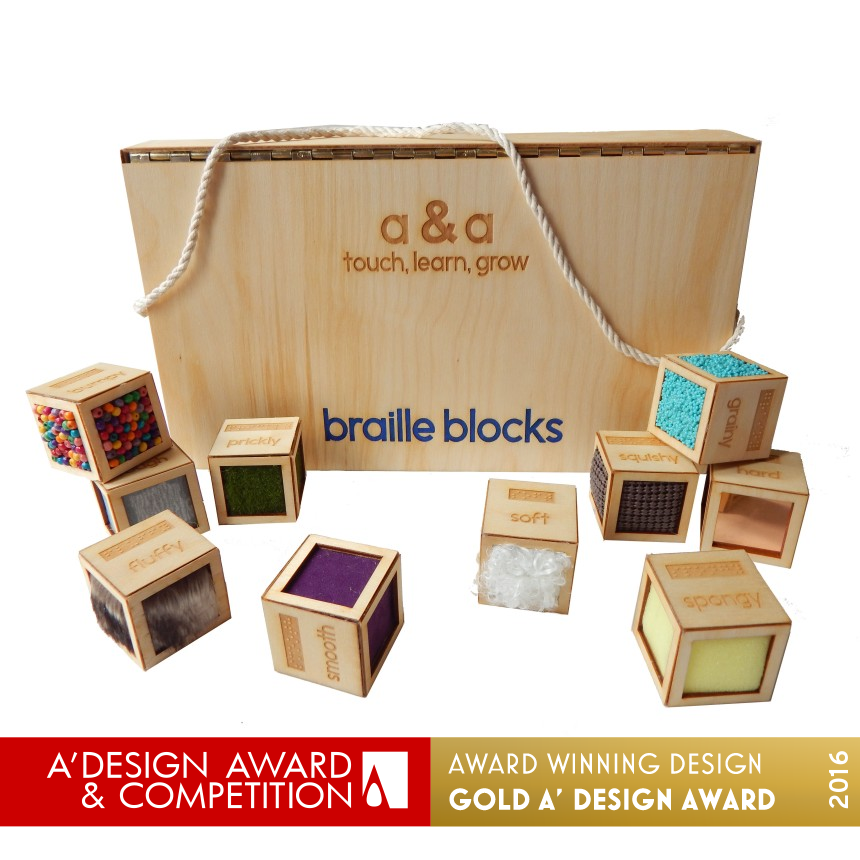 Braille Blocks Toy