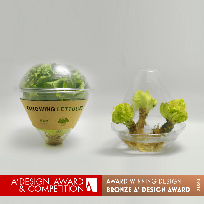 Eco Lettuce Multifunctional Food Packaging